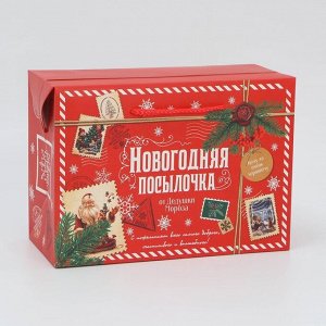 Пакет‒коробка «Посылочка», 28 х 20 х 13 см