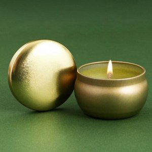 Свеча в цветной жестяной банке «Богатство», аромат ваниль, 6 х 6 х 4 см