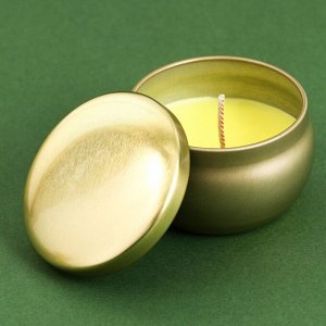 Свеча в цветной жестяной банке «Богатство», аромат ваниль, 6 х 6 х 4 см