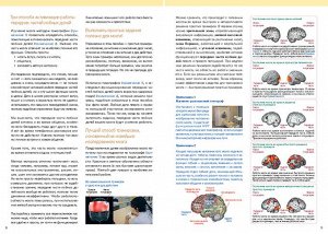 Тренируем мозг. Тетрадь для развития памяти и интеллекта №5