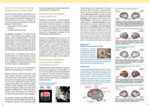 Тренируем мозг. Тетрадь для развития памяти и интеллекта №6