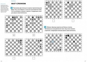 Шахматы с енотом. Рабочая тетрадь № 2
