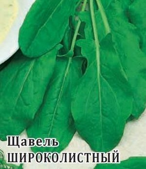 Щавель 50гр Широколистный ЦВ/П (ГАВРИШ) раннеспелый