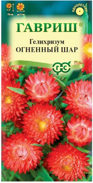 Цветы Гелихризум Огненный шар ЦВ/П (ГАВРИШ) 0,1гр однолетник сухоцвет до 70см