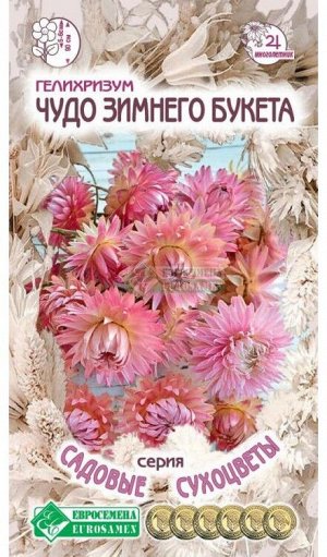 Цветы Гелихризум Чудо зимнего букета ЦВ/П (ЕС) 0,1гр однолетник сухоцвет 90см
