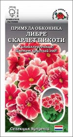 Цветы Примула Либре Скарлет Пикоти ЦВ/П (СОТКА) 5шт комнатное 20-25см