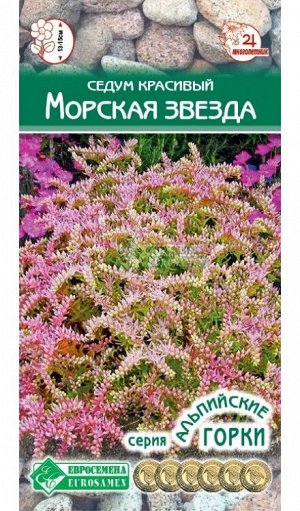 Цветы Седум (очиток) Морская Звезда ЦВ/П (ЕС) 10шт многолетник 13-15см