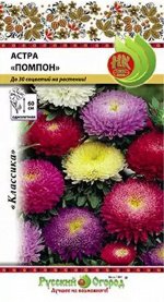 Цветы Астра Помпон Смесь ЦВ/П (РУССКИЙ ОГОРОД) 0,3гр однолетник 50-60см