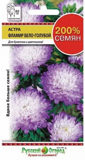 Цветы Астра Фламир Бело-Голубой ЦВ/П (РУССКИЙ ОГОРОД) 0,5гр однолетник 80см