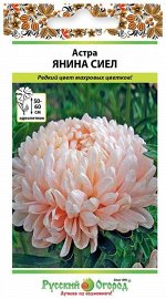 Цветы Астра Янина Сиел ЦВ/П (РУССКИЙ ОГОРОД) 0,3гр однолетник 50-60см