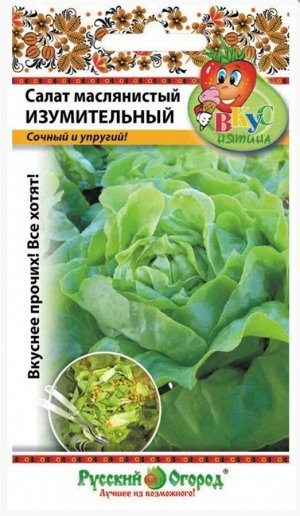 Салат Изумительный ЦВ/П Вкуснятина (РУССКИЙ ОГОРОД) 200шт среднеранний кочанный