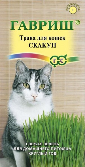 Трава для кошек Скакун ЦВ/П (ГАВРИШ) 10гр выращивание круглогодичное