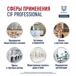 NEW ! Cif Proessional СИФ моющее средство 500мл 2в1 Дезинфицирующее и моющее