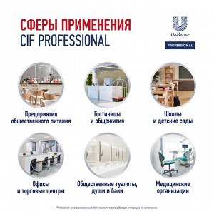 NEW ! Cif Proessional СИФ Средство кислотное против ржавчины и налета 500мл