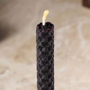 Свеча из вощины "Перерождение и новое начало" , 13х1,7 см, 1 ч, черный