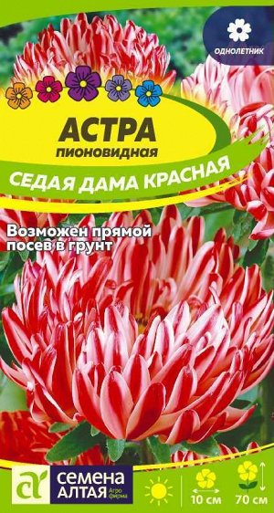 Астра Седая Дама Красная 0,1 гр