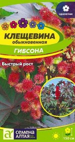 Клещевина Гибсона/Сем Алт/цп 3 шт.