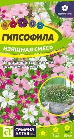 Цветы Гипсофила Изящная Смесь 0,2 гр