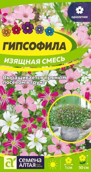 Цветы Гипсофила Изящная Смесь 0,2 гр