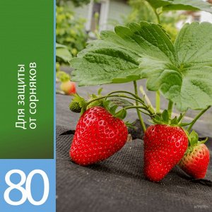 АГРОТЕКС 80 ш 3,2м (рул 150м)