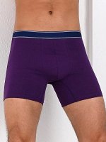 LUI et ELLE MX002 plum Мужские трусы боксеры