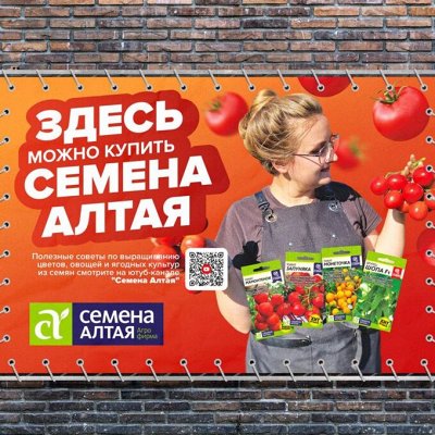 Семена Алтая. Сезон 2024. Свободное в счёте