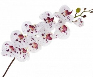 Фаленопсис 94 см цветок с силиконовым покрытием цвет белый Арт H031S-B25