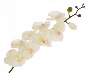 Фаленопсис 94 см цветок с силиконовым покрытием цвет белый Арт H031S-B33