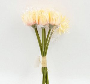 Гербера пушистая цвет персиковый букет 6 цветков HS 31-5