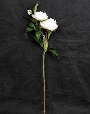 Пион махровый 3 цветка 75 см цвет белый HS-23-10