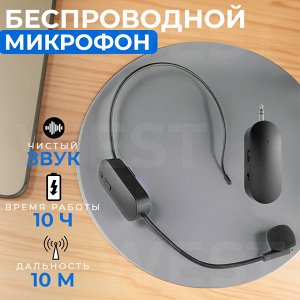 Беспроводной микрофон Wireless Microphone AY-101