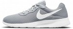 Кроссовки мужские Nike Tanjun