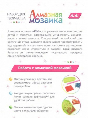 Алмазная мозаика KiKi  30*40, полная выкладка Маки и кулубника