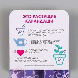 Набор для выращивания, карандаши подарочные «Лаванда и Сирень», mini, простые чернографитные, 2 шт.