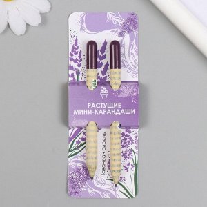 Набор для выращивания, карандаши подарочные «Лаванда + Сирень», , mini, простые чернографитные, 2 шт.