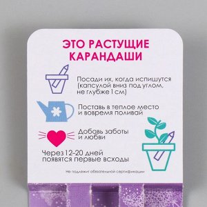 Набор для выращивания, карандаши подарочные «Лаванда + Сирень», , mini, простые чернографитные, 2 шт.