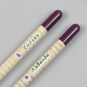 Набор для выращивания, карандаши подарочные «Лаванда + Сирень», , mini, простые чернографитные, 2 шт.