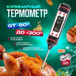Термометр электронный