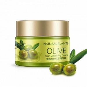 Крем освежающий и увлажняющий с оливковым маслом цвет: НА ФОТО