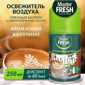 Master Fresh освежитель воздуха СМЕННЫЙ БАЛЛОН д/авт.спрея АРОМАТНЫЙ КАПУЧИНО 250 мл