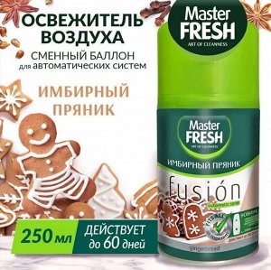 Master Fresh освежитель воздуха СМЕННЫЙ БАЛЛОН д/авт.спрея Имбирный пряник 250 мл