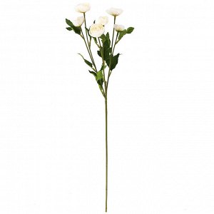 Цветок "Ранункулюс" цвет - кремовый, 66см, 6 цветков (Китай)