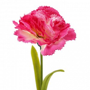 Цветок "Гвоздика" цвет - розовый, 58см, цветок - д8х5см (Китай)