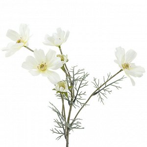 Цветок "Космея" цвет - белый, 58см, 6 цветков (Китай)
