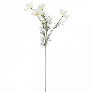 Цветок "Космея" цвет - белый, 58см, 6 цветков (Китай)