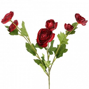 Цветок "Ранункулюс" цвет - бордовый, 66см, 6 цветков (Китай)