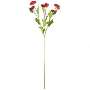 Цветок "Ранункулюс" цвет - бордовый, 66см, 6 цветков (Китай)