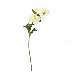 Цветок "Хризантема" цвет - белый, 65см, 3 цветка (Китай)