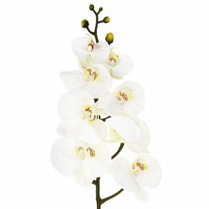 Цветок "Орхидея" цвет - белый, 90см, 8 цветков, 5 бутонов (Китай)