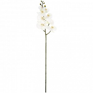 Цветок "Орхидея" цвет - белый, 90см, 8 цветков, 5 бутонов (Китай)